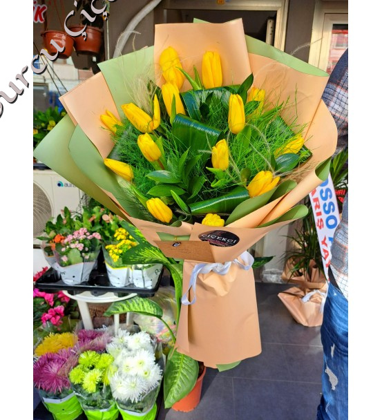 YELLOW TULİP