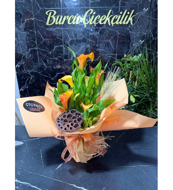 TURUNCU GALA ÇİÇEĞİ